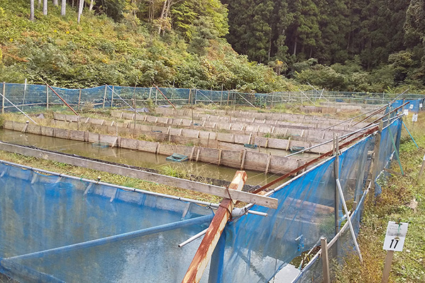 みずの鼓動事業部