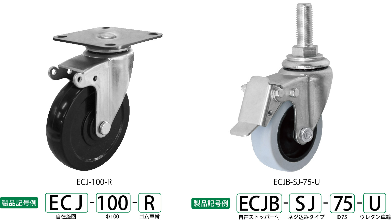 シシク 低床重荷重用双輪キャスター 固定 １００径 シシクＳＩＳＩＫＵアドクライス（株 (BSD-GSPO-100K) (466-0455) 